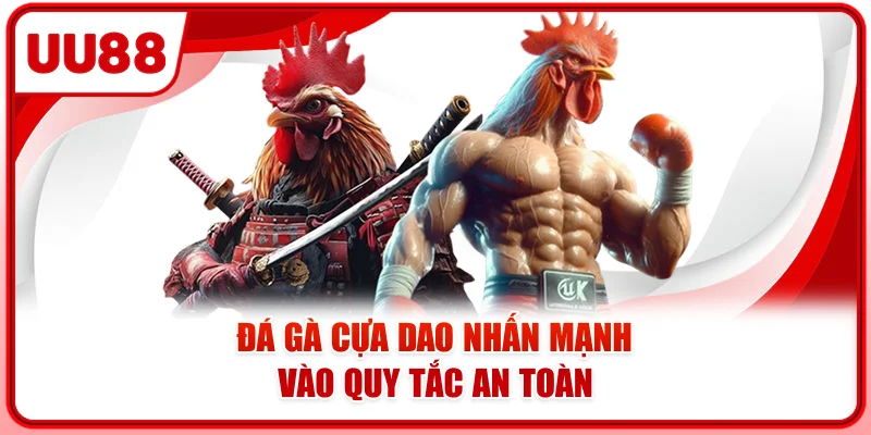 Đá gà cựa dao nhấn mạnh vào quy tắc an toàn