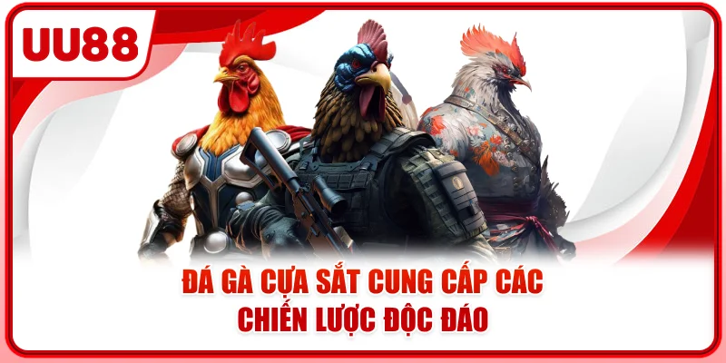 Đá gà cựa sắt cung cấp các chiến lược độc đáo