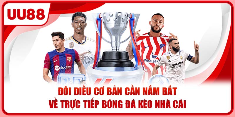 Đôi điều cơ bản cần nắm bắt về trực tiếp bóng đá kèo nhà cái