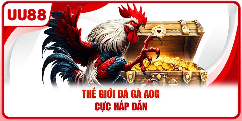 Thế giới đá gà AOG cực hấp dẫn Thế giới đá gà AOG cực hấp dẫn